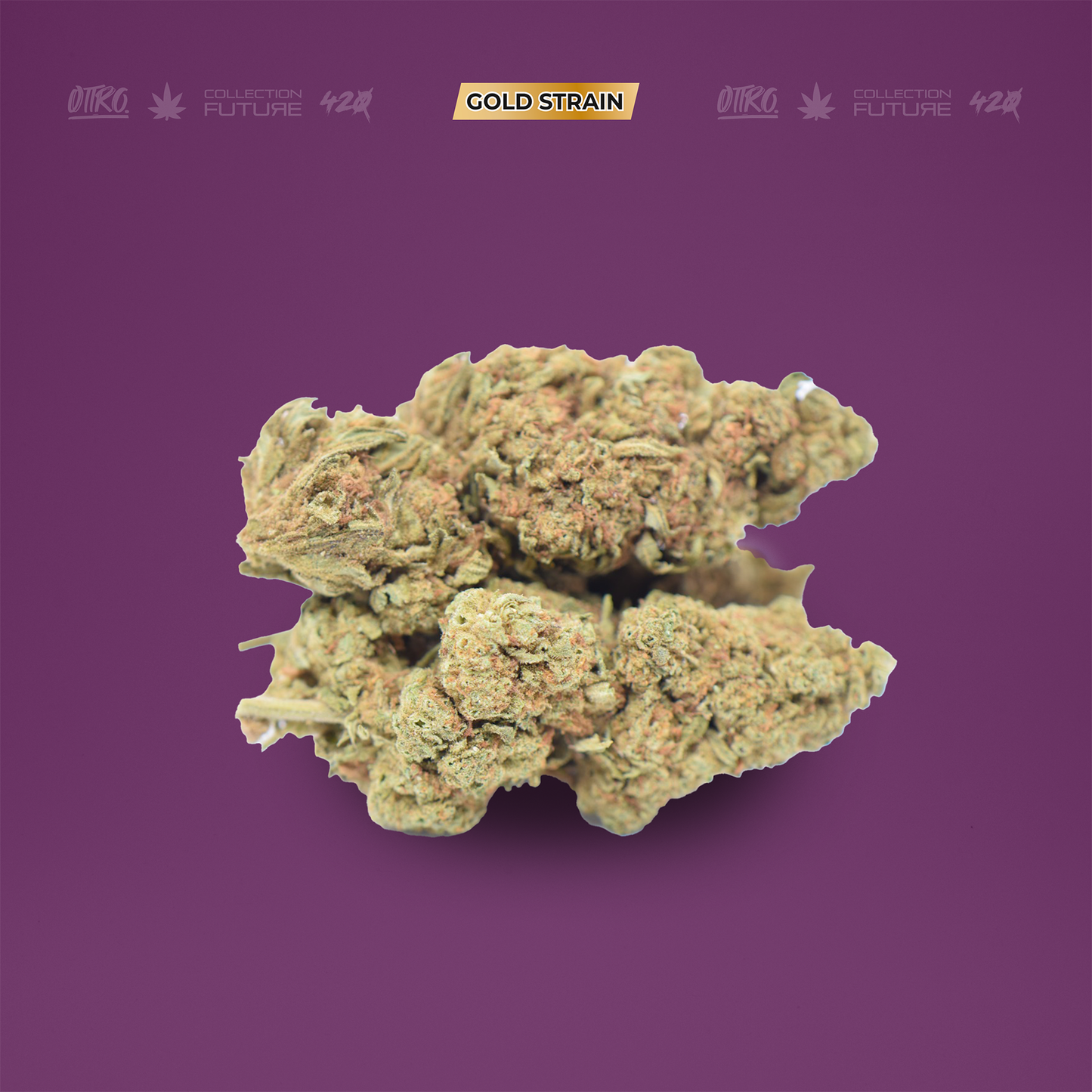 BLACK MAMBA 5G