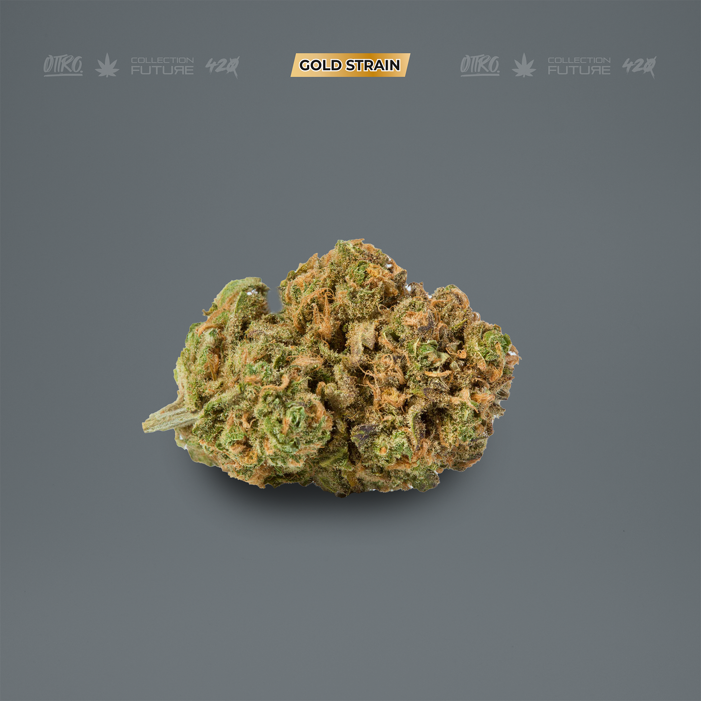 CHAPO BUD 5G
