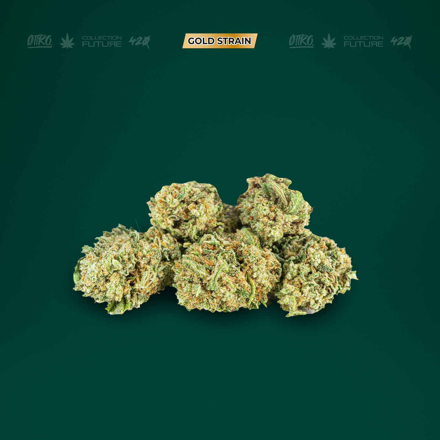 DC KUSH 5G