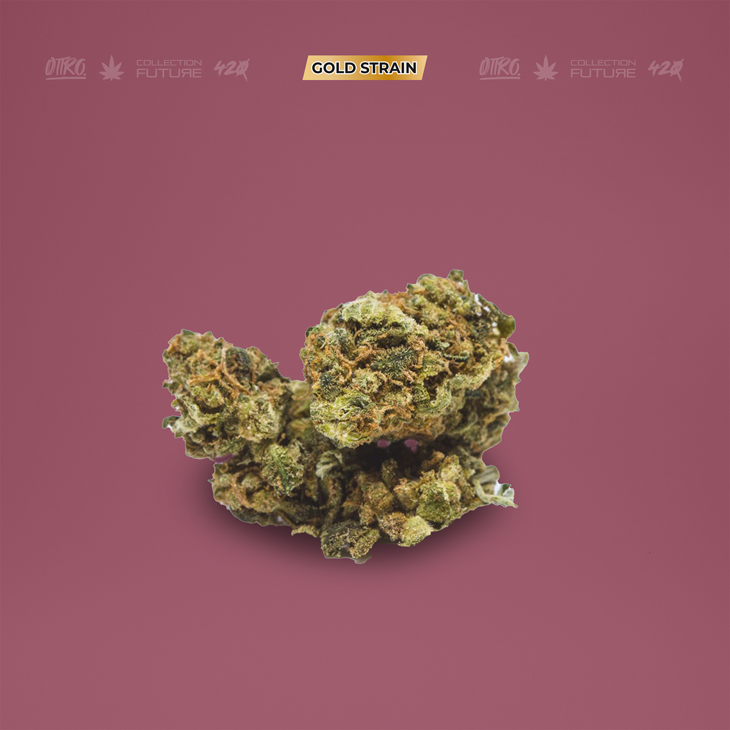 NIPSEY 5G