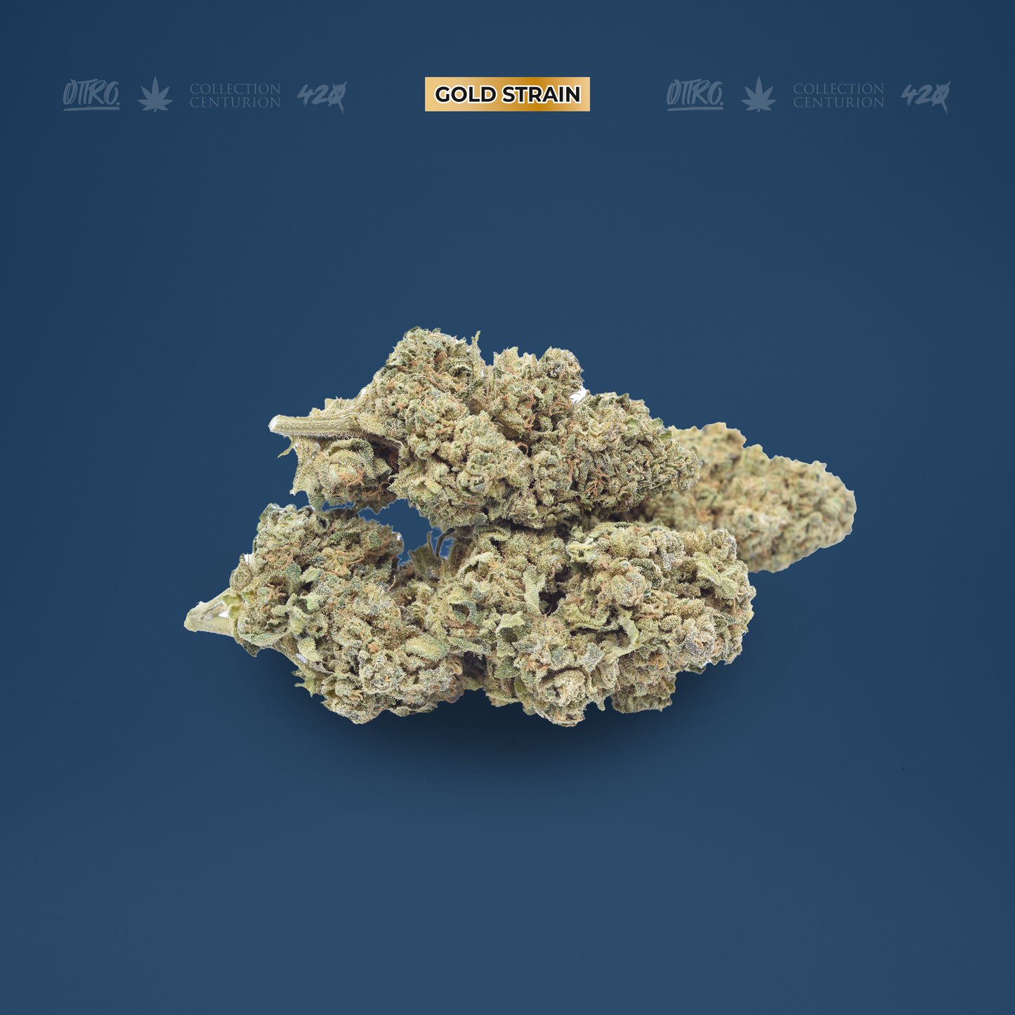 RIRI KUSH 5G