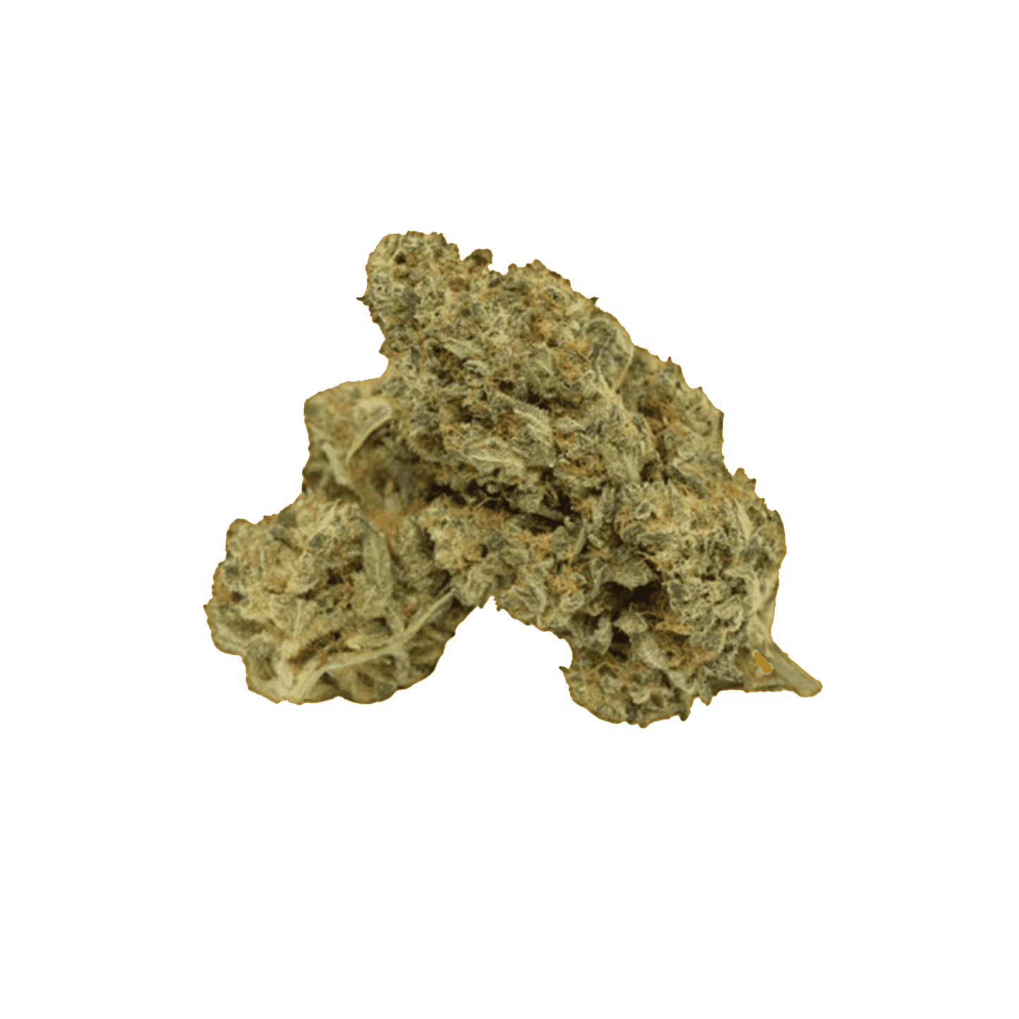 BRUCE LEAN 5G PREMIUM CBD PLATIN LINE