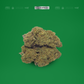DR. GREENTHUMB 5G