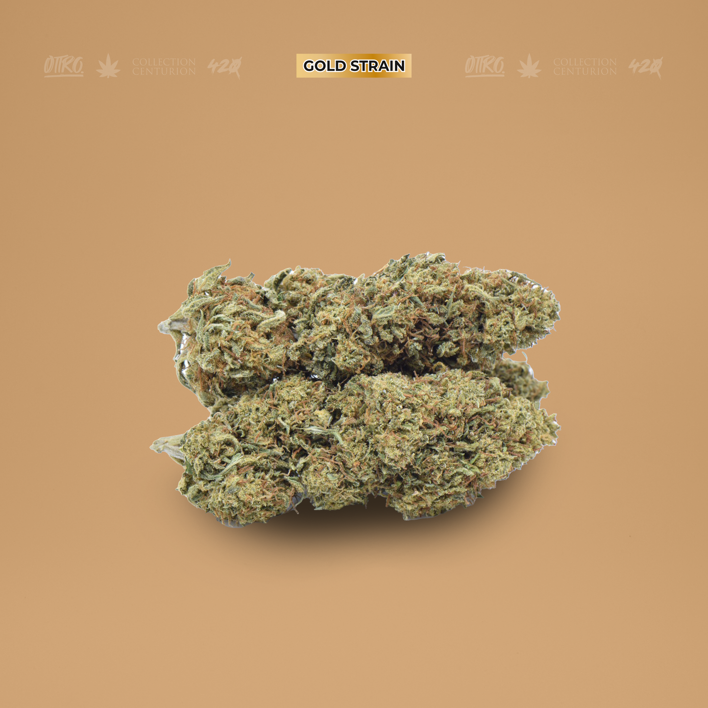 GAGA SKUNK 5G