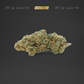 PINEAPPLE EXPRESS 5G