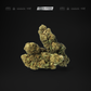 SCARFACE 5G
